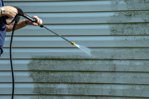 Best Residential Pressure Washing Services  in Royal Palm Estates, FL
