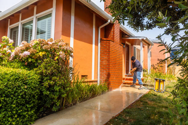 Best House Pressure Washing  in Royal Palm Estates, FL