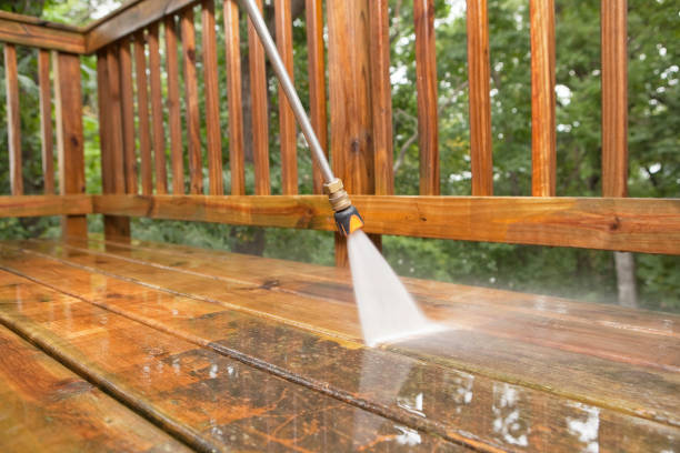 Best Commercial Building Pressure Washing  in Royal Palm Estates, FL