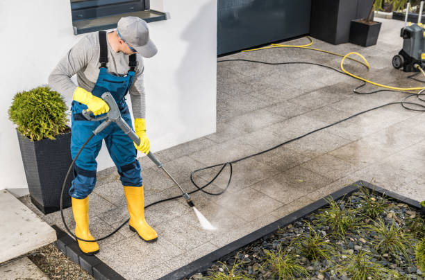 Best Deck Cleaning Services  in Royal Palm Estates, FL