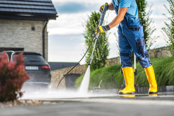 Best Roof Pressure Washing  in Royal Palm Estates, FL