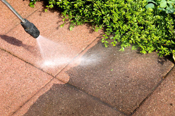 Best Deck Cleaning Services  in Royal Palm Estates, FL